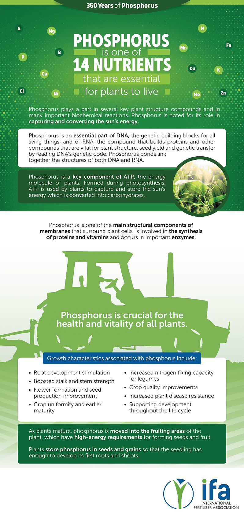 IFA 019 PhosFacts Plants V2