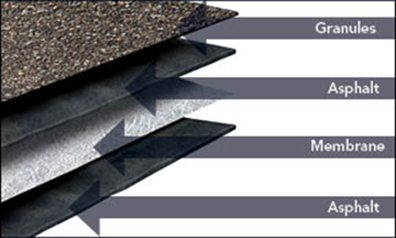 Shingle cross section4